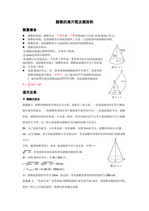 知识卡片-圆锥的展开图及侧面积