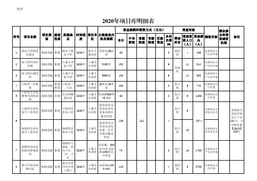 2020年项目库明细表