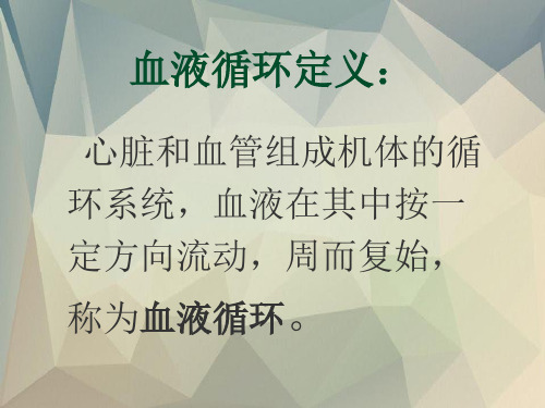 生理学课件第四章血液循环