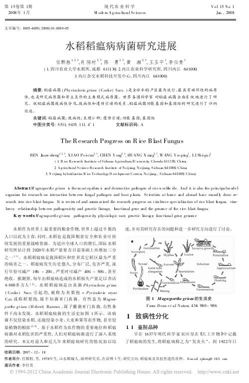 水稻稻瘟病病菌研究进展_任鄄胜