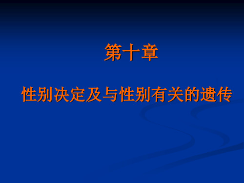 10性别决定