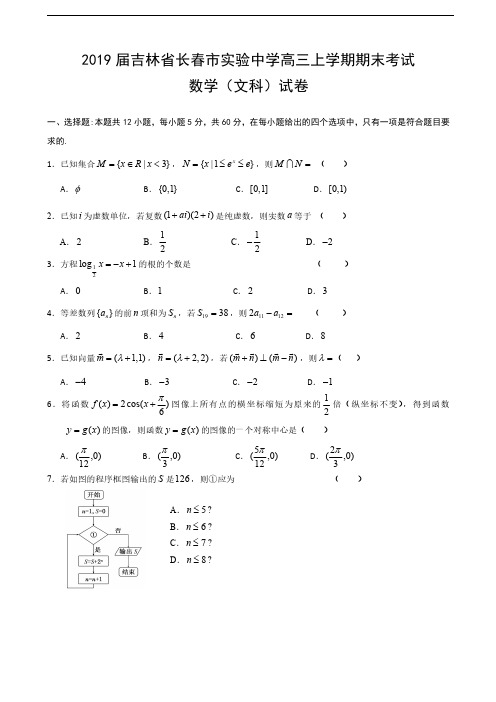 2019届吉林省长春市实验中学高三上学期期末考试数学(文)试题(word版)