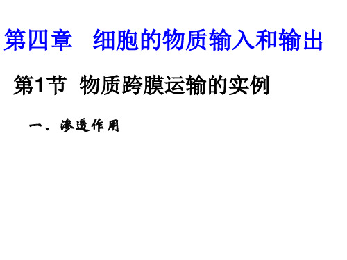 高一生物必修一物质跨膜运输实例PPT课件