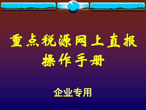 重点税源网上直报操作说明书