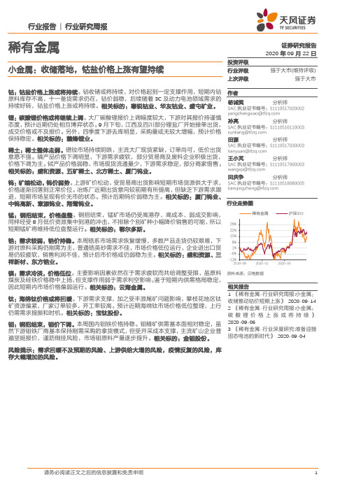 稀有金属-小金属：收储落地，钴盐价格上涨有望持续