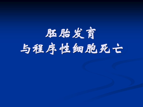 胚胎发育与程序性细胞死亡