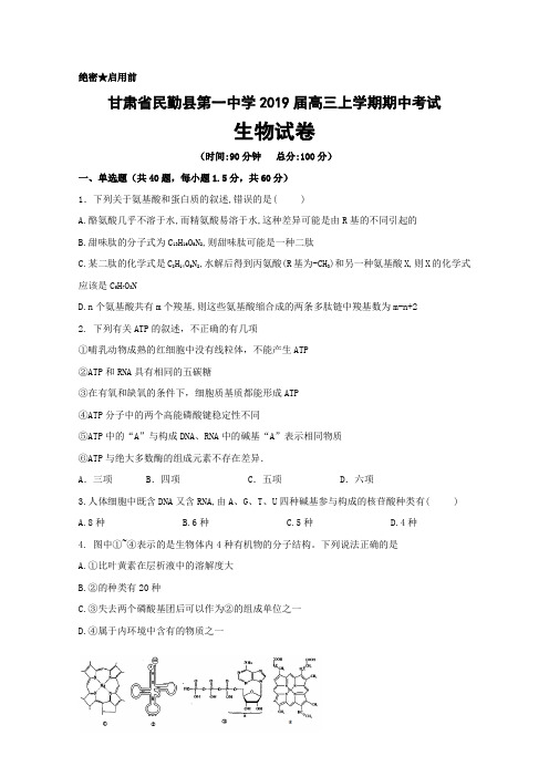 甘肃省民勤县第一中学2019届高三上学期期中考试生物试题+Word版含答案