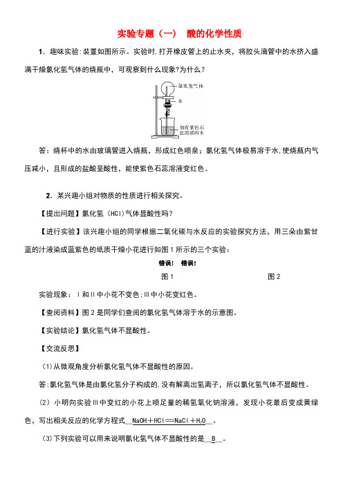 (河南专版)2018年秋九年级化学下册 实验专题(一)酸的化学性质习题 (新版)新人教版