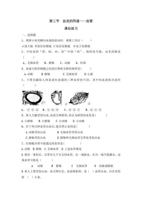 生物人教版七年级下册第二节 血流的管道——血管 (课后练习)