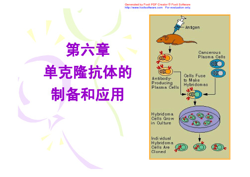 食品免疫学  6抗原和抗体的制备