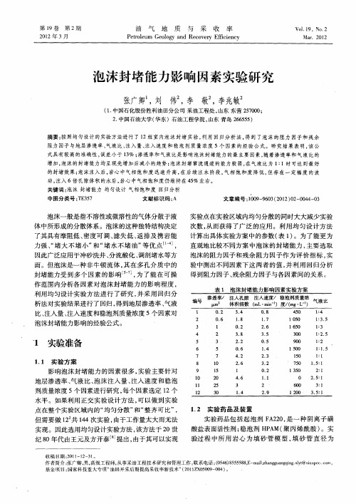 泡沫封堵能力影响因素实验研究