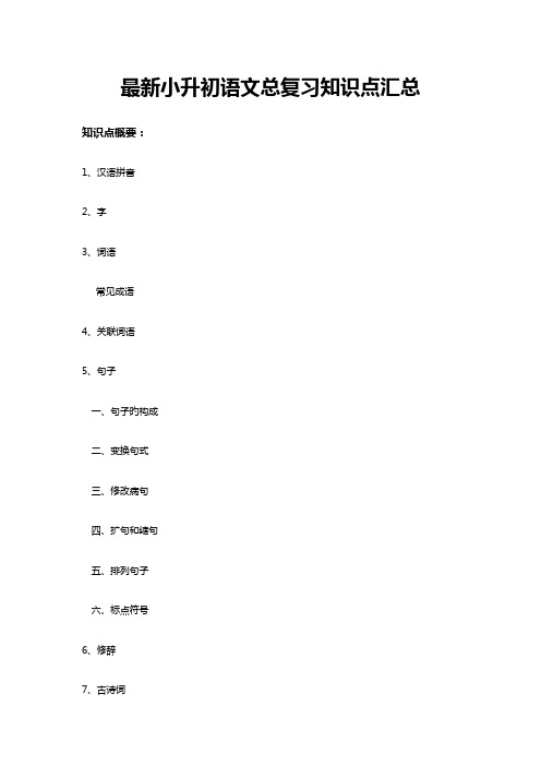 2023年最新小升初语文总复习知识点汇总