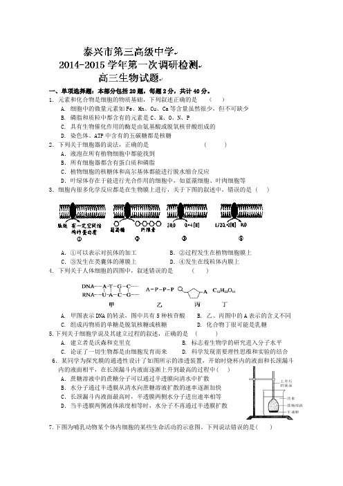 江苏省泰兴市第三高级中学2015届高三上学期第一次质量检测生物试题 Word版含答案