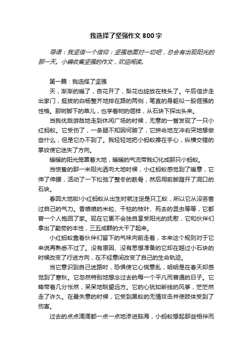 我选择了坚强作文800字