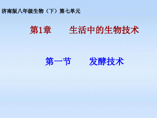 八年级生物下册第一章第一节发酵技术济南版精品PPT课件