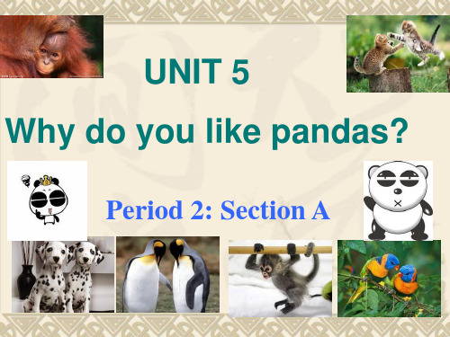 初中英语七年级下册Unit5 Why do you like pandas. Period 2课件