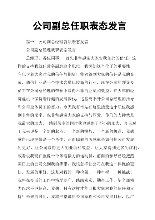 公司副总任职表态发言