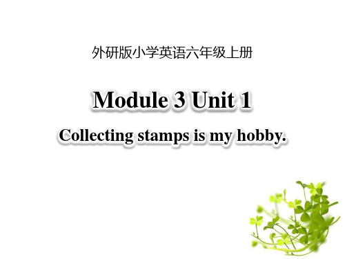 外研版六年级上册英语《Collecting stamps is my hobby》教学说课