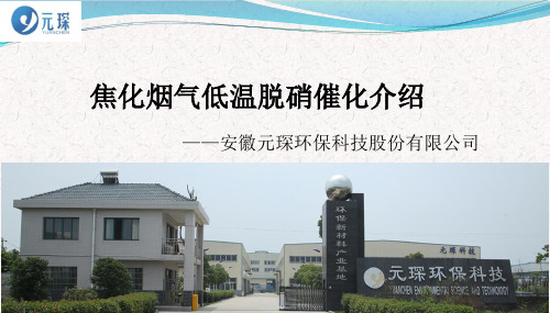 焦化烟气低温脱硝催化介绍