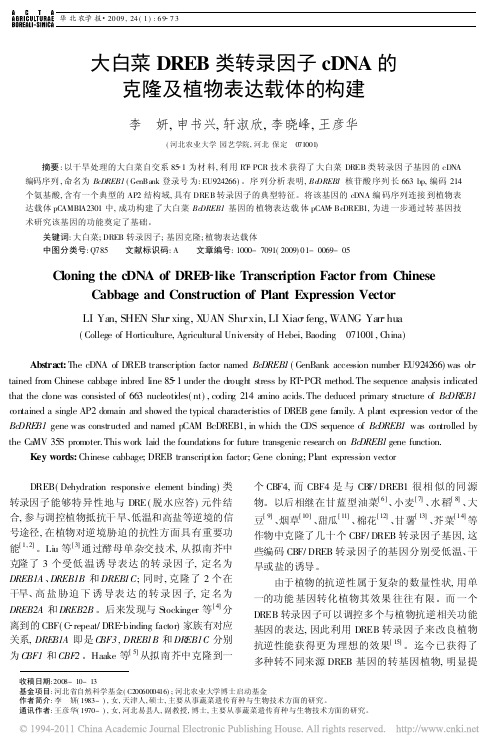 大白菜DREB类转录因子cDNA的克隆及植物表达载体的构建