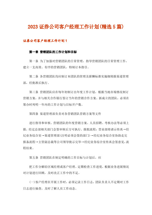 2023证券公司客户经理工作计划(精选5篇)