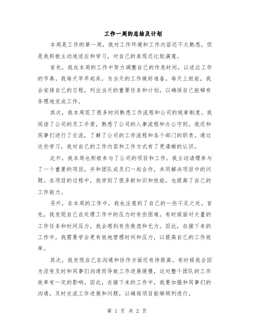 工作一周的总结及计划