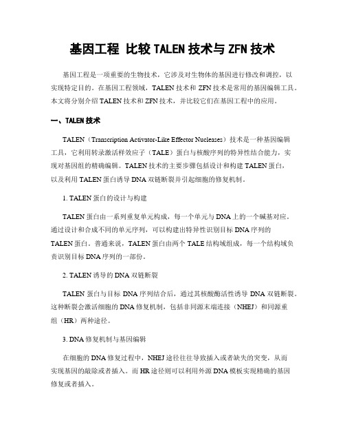 基因工程 比较TALEN技术与ZFN技术