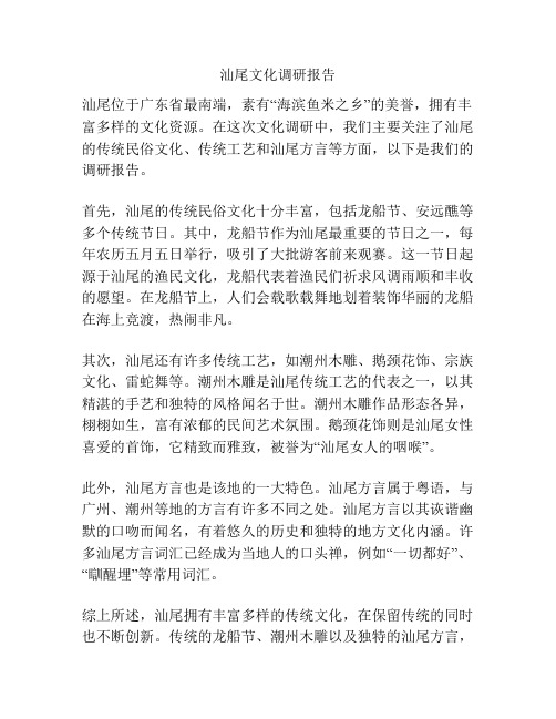 汕尾文化调研报告