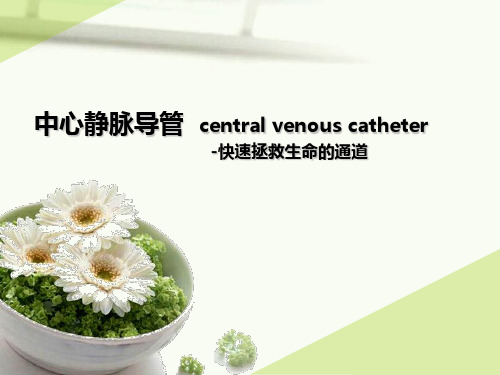 中心静脉导管centralvenouscatheter