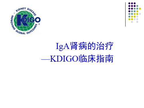 IgA肾病的治疗—KDIGO临床指南解读