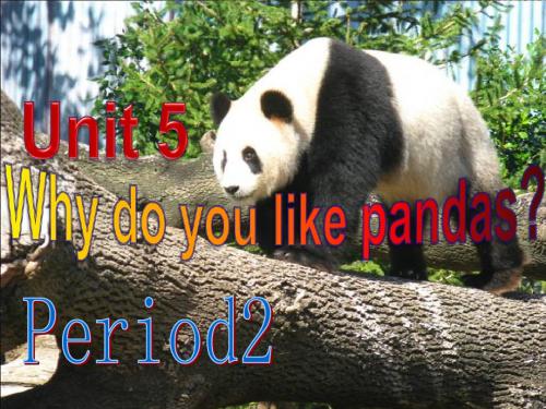 七年级英语下册(人教版)教学课件：Unit 5 Why do you like pandas period2