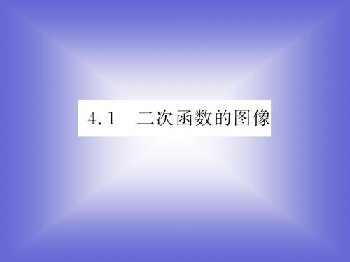 4.1 二次函数的图像(北师大版)