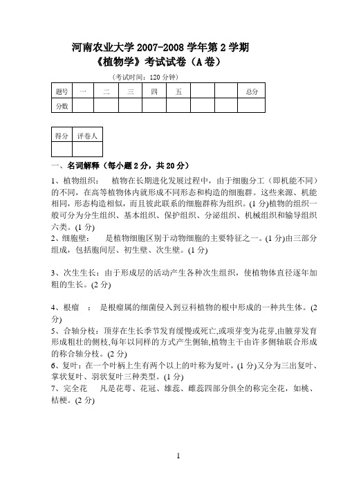 2008年植物学试卷A参考答案