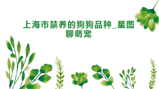 上海市禁养的狗狗品种_星图聊萌宠