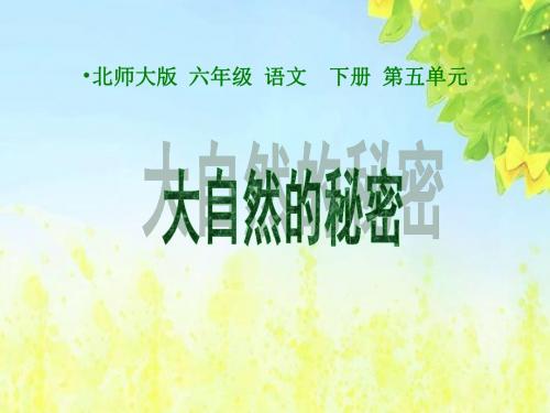 大自然的秘密课件(北师大版六年级语文下册课件)PPT、优质教学课件