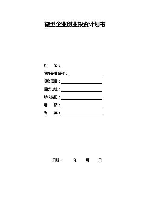 微型企业创业投资计划书