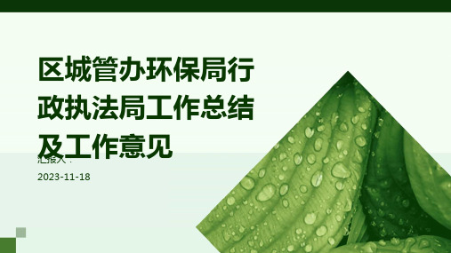 区城管办环保局行政执法局工作总结及工作意见