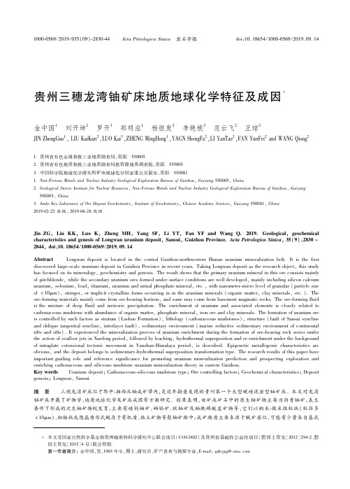 19604566_贵州三穗龙湾铀矿床地质地球化学特征及成因