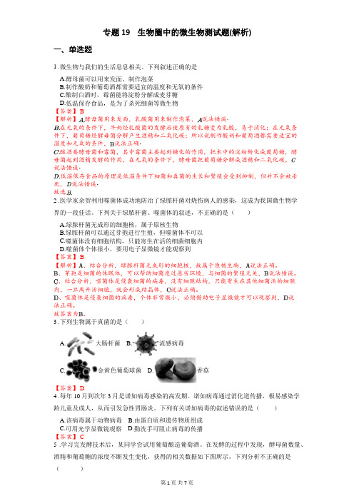 专题19 生物圈中的微生物-2024年中考《生物》冲刺复习全考点通关(解析版)