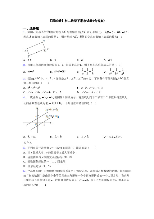 【压轴卷】初二数学下期末试卷(含答案)