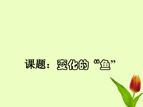 八年级数学上册 第五章第三节变化的鱼课件 北师大版