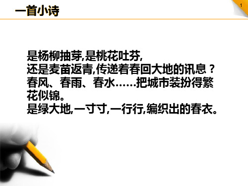 审计案例绿大地财务造假案例分析课件