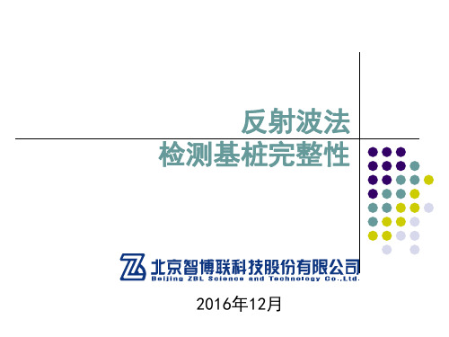 反射波法检测基桩完整性