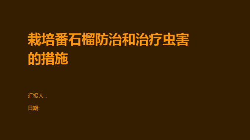 栽培番石榴防治和治疗虫害的措施