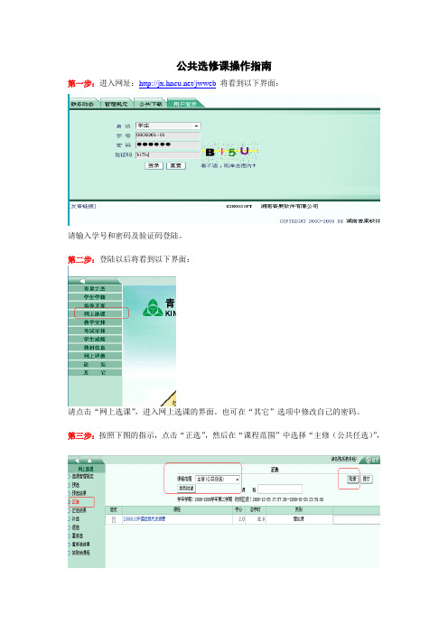 公共选修课操作指南