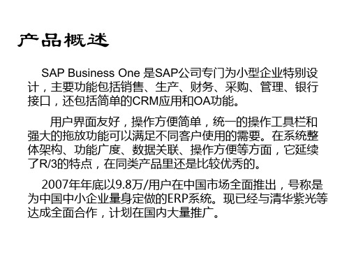 竞争对手分析SAP_SBO介绍