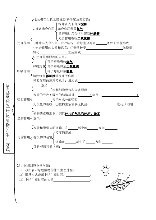 知识点结构图7上5