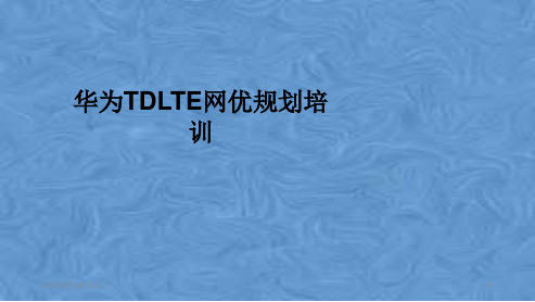 华为TDLTE网优规划培训