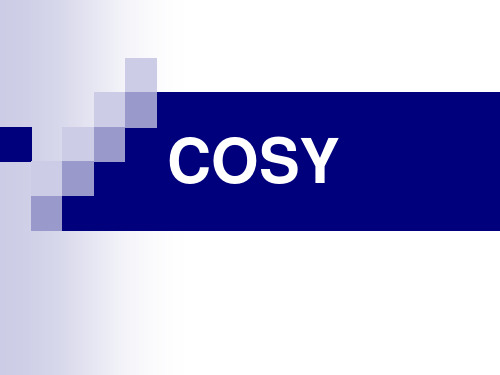 COSY谱