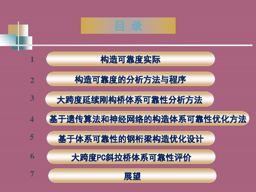 桥梁结构可靠度与安全评估ppt课件